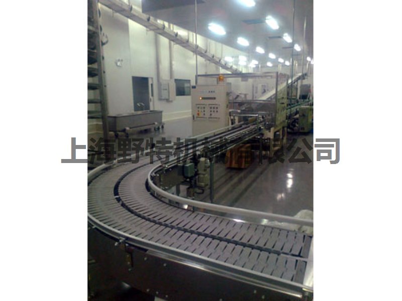 Plate Chain Conveyor 04